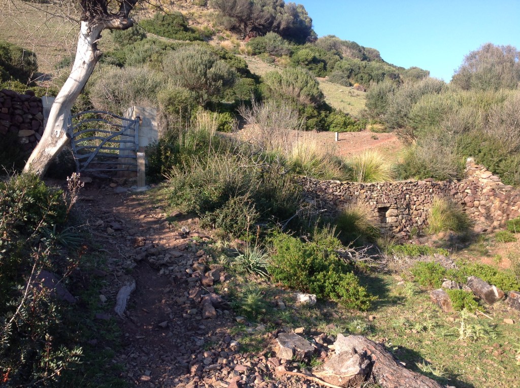 Camí de cavalls per Ferreries