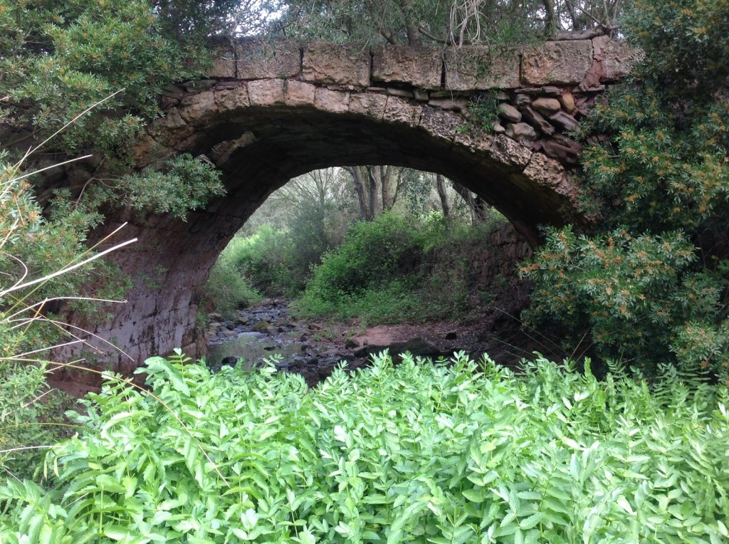 Camí d’en Kane al seu pas per Ferreries